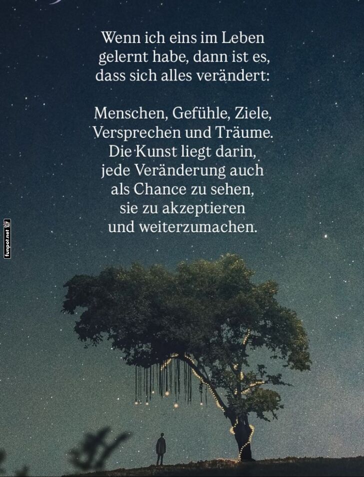 Ein Baum, viele Erkenntnisse!