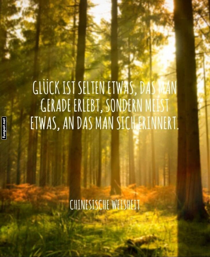 Glück mal anders: Erinnerungen im Wald Glück mal anders: Erinnerungen im Wald