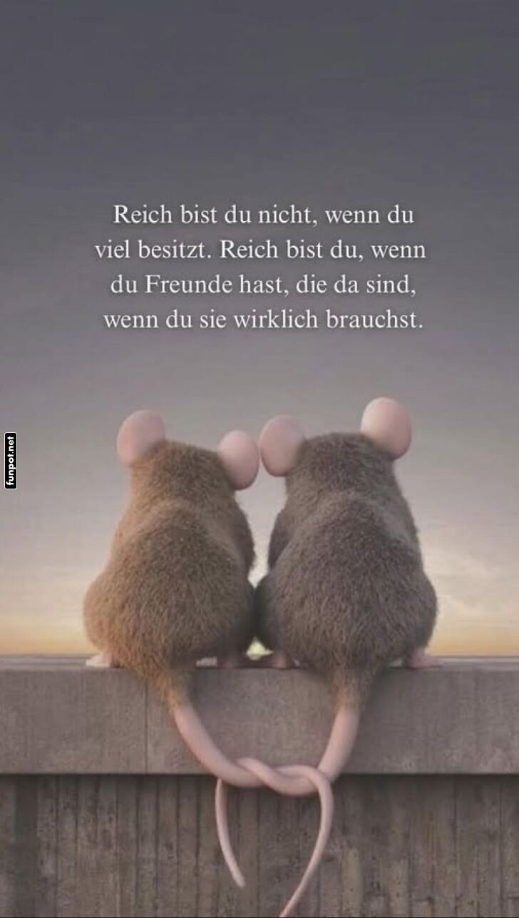 Mäuseweisheit: Freundschaft über Reichtum! Mäuseweisheit: Freundschaft über Reichtum!
