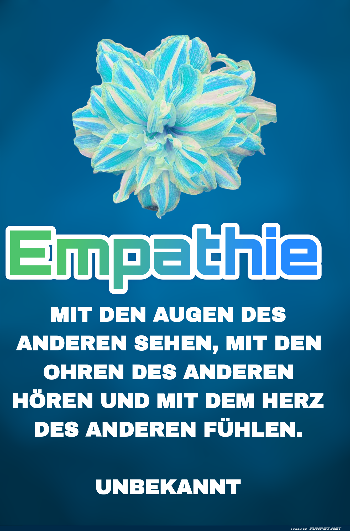 Empathie: Neue Perspektiven entdecken! Empathie: Neue Perspektiven entdecken!