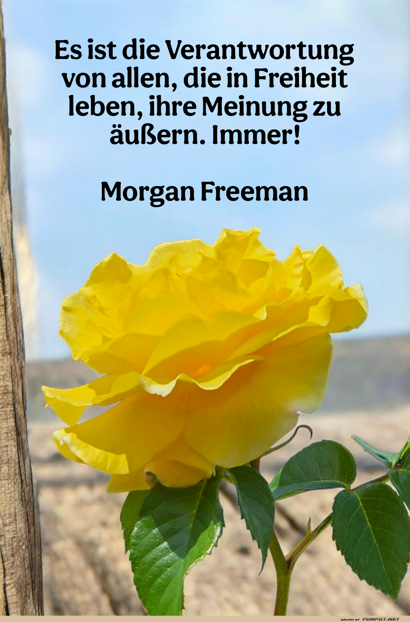 es ist die verantwortung es ist die verantwortung