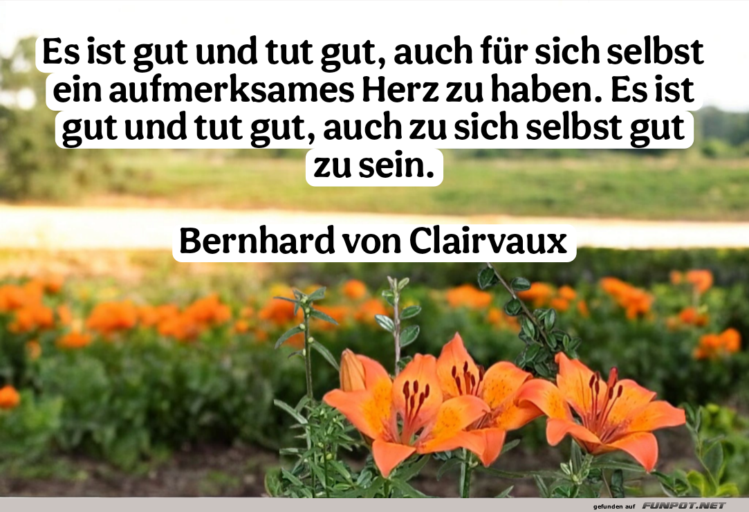 es ist gut und tut gut es ist gut und tut gut