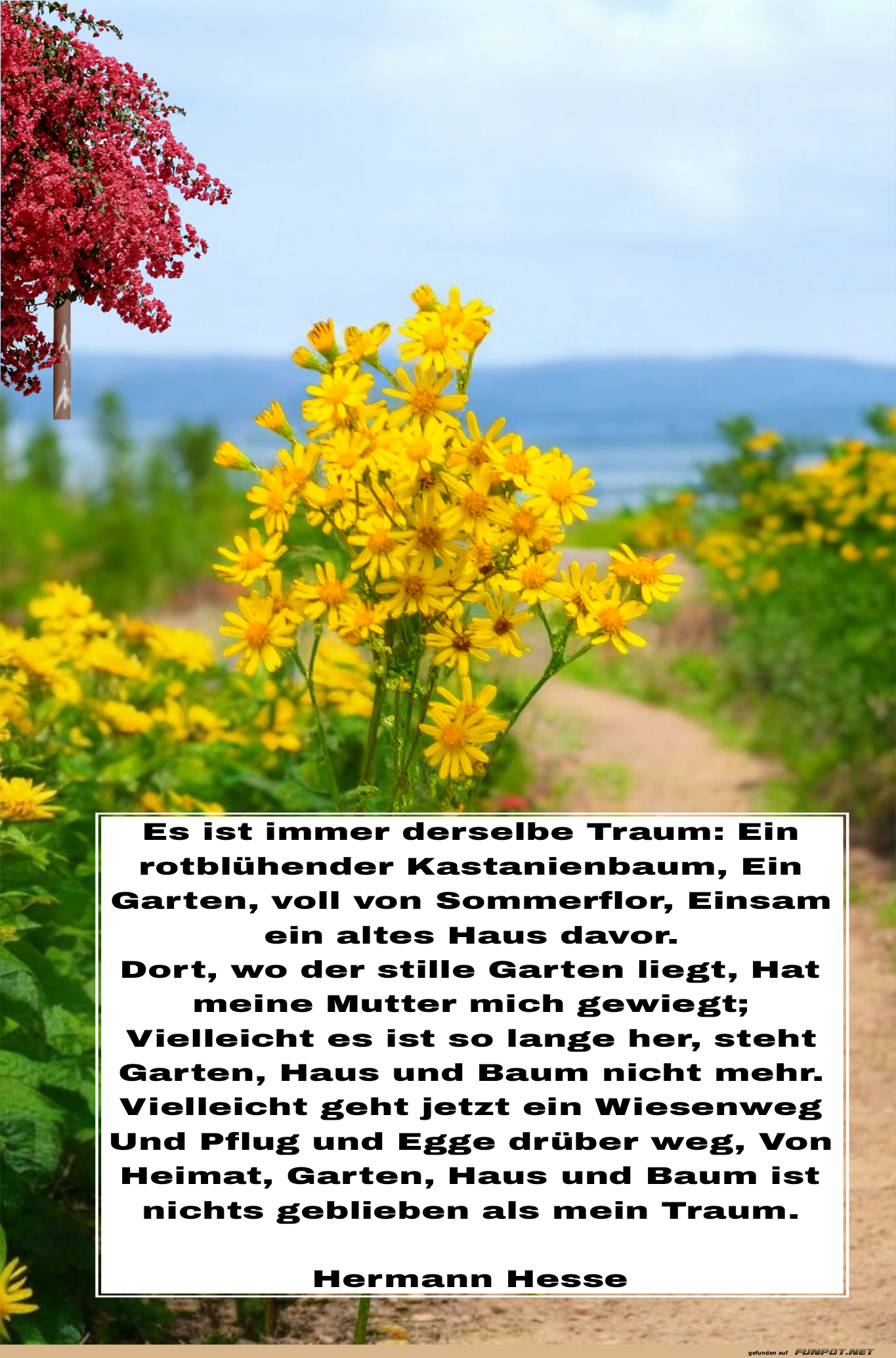 es ist immer derselbe traum es ist immer derselbe traum