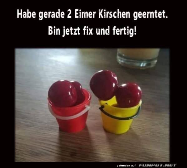Kirschenfieber in Mini-Eimern! Kirschenfieber in Mini-Eimern!