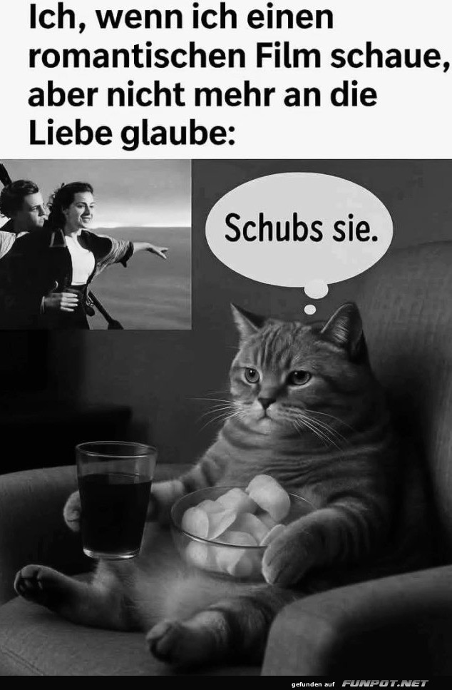 Kater auf Kollisionskurs mit der Romantik Kater auf Kollisionskurs mit der Romantik