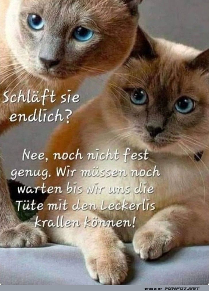 Schläft sie endlich? Schläft sie endlich?