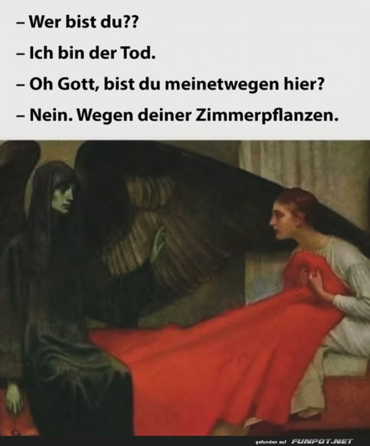Der Tod liebt Zimmerpflanzen Der Tod liebt Zimmerpflanzen