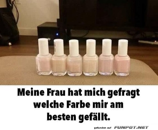 Der ultimative Farbtest des Ehelebens Der ultimative Farbtest des Ehelebens