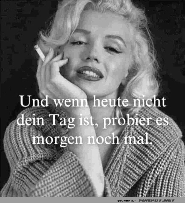 Zweiter Versuch: Ein Tag zur Entspannung! Zweiter Versuch: Ein Tag zur Entspannung!