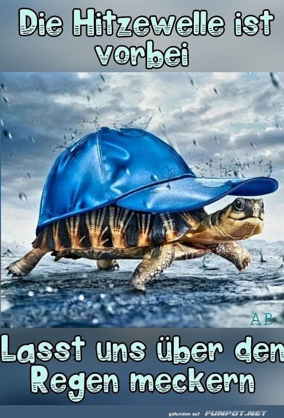 Schildkrte trotzt dem Regen
