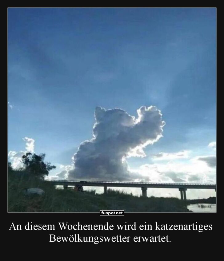 Katzenwetter: Wolken mit Miau-Faktor! Katzenwetter: Wolken mit Miau-Faktor!