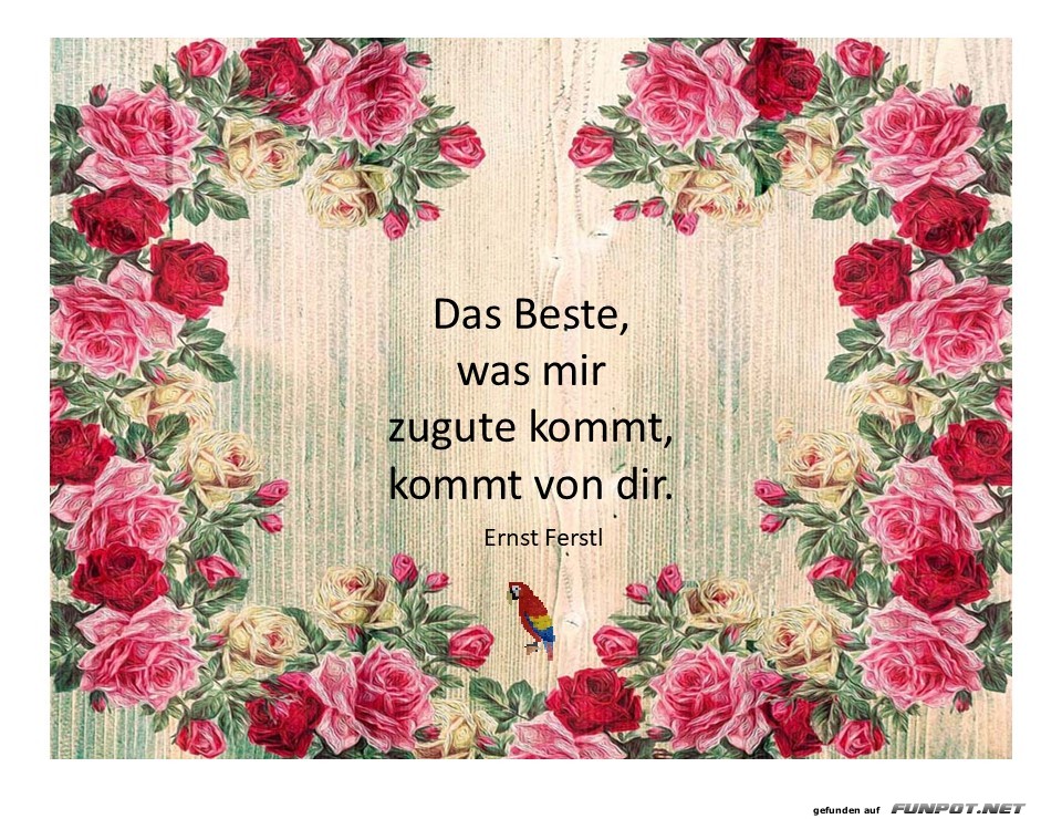 Blumige Botschaft mit Herz und Humor