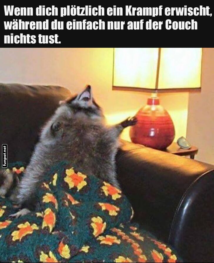 Couch-Krampf: Plötzlich aufrecht! Couch-Krampf: Plötzlich aufrecht!