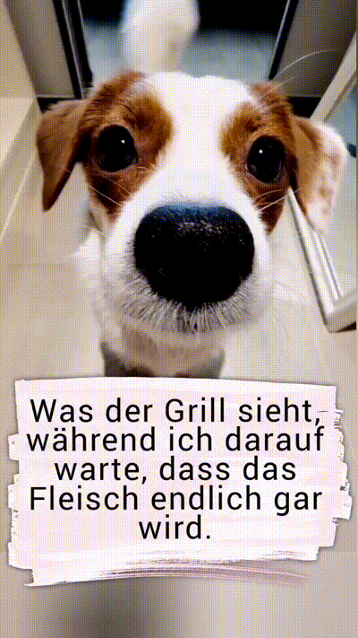 was der Grill sieht