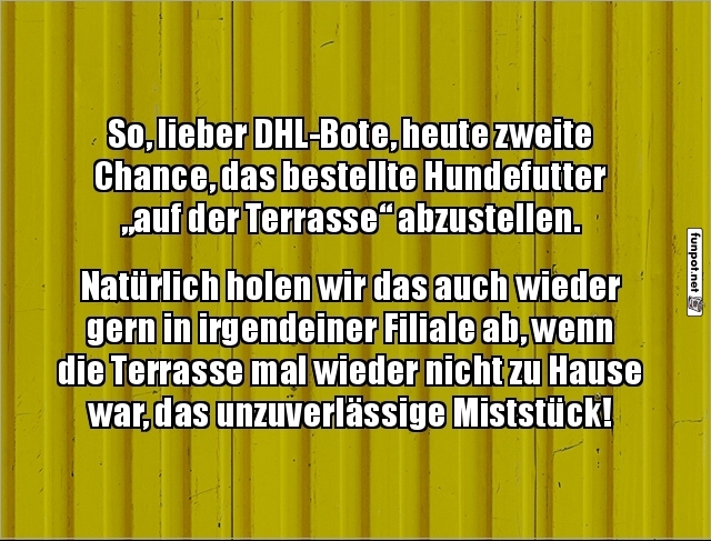 Hund und Terrasse im Zustell-Dilemma