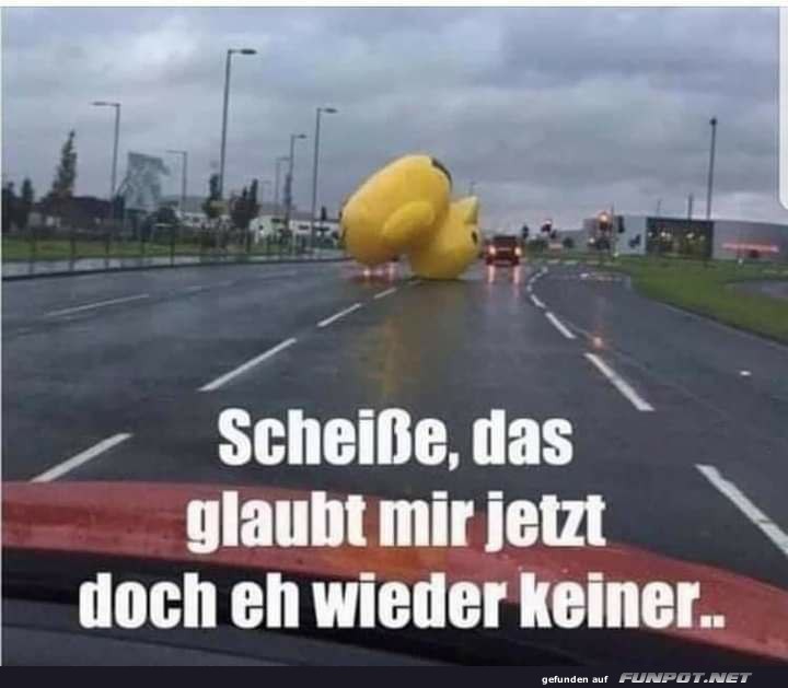 Entenstau im Straßenverkehr Entenstau im Straßenverkehr