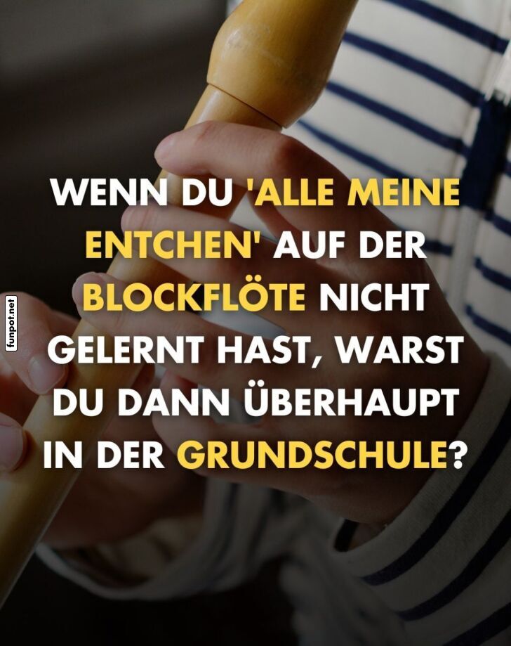 Blockflöte und Entchen: Die wahre Schulfrage Blockflöte und Entchen: Die wahre Schulfrage