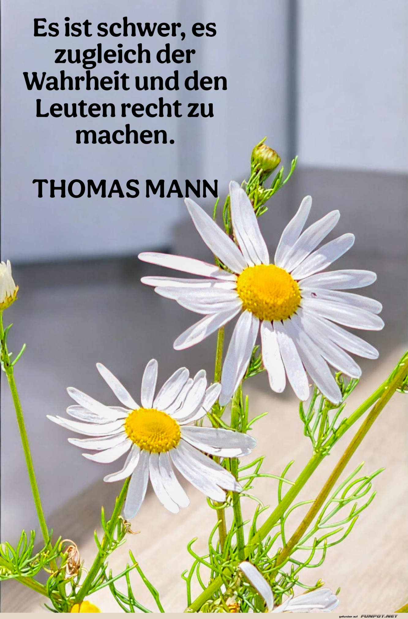 es ist schwer es ist schwer