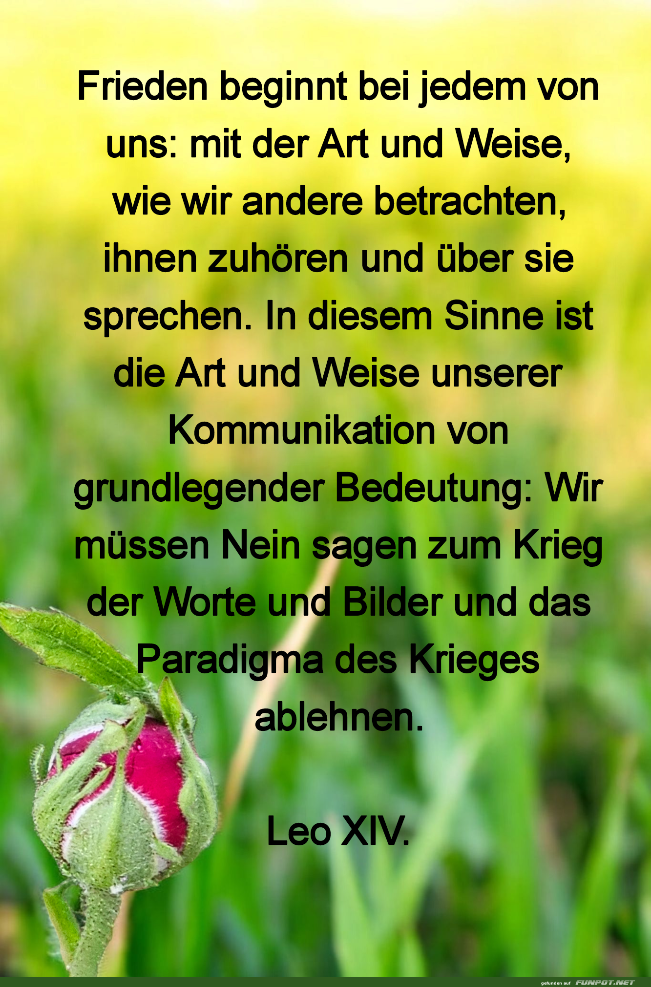 frieden beginnt bei jedem frieden beginnt bei jedem