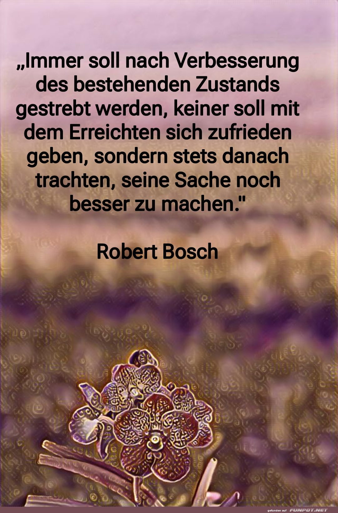 immer soll nach verbesserung immer soll nach verbesserung