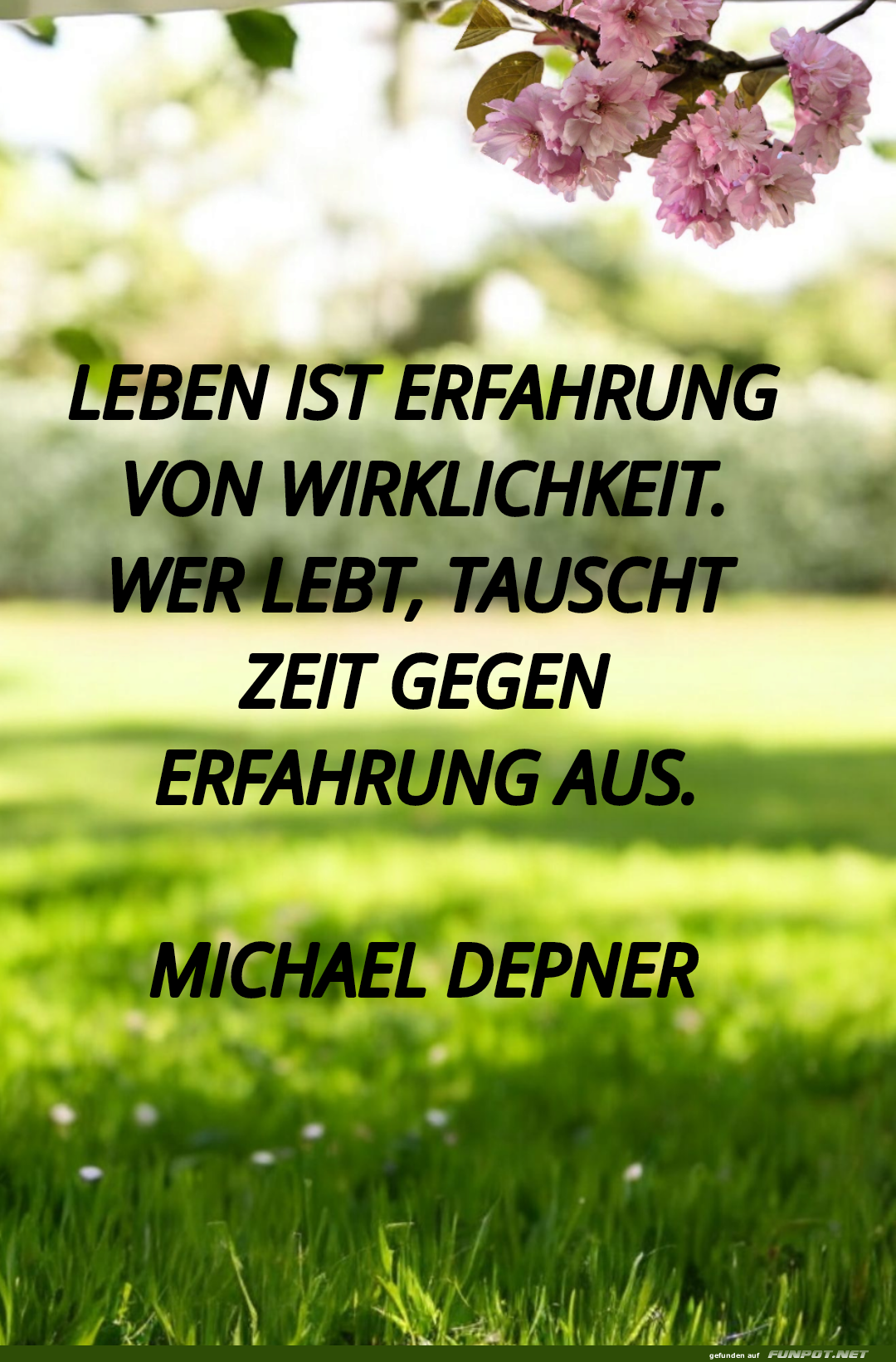 leben ist erfahrung leben ist erfahrung