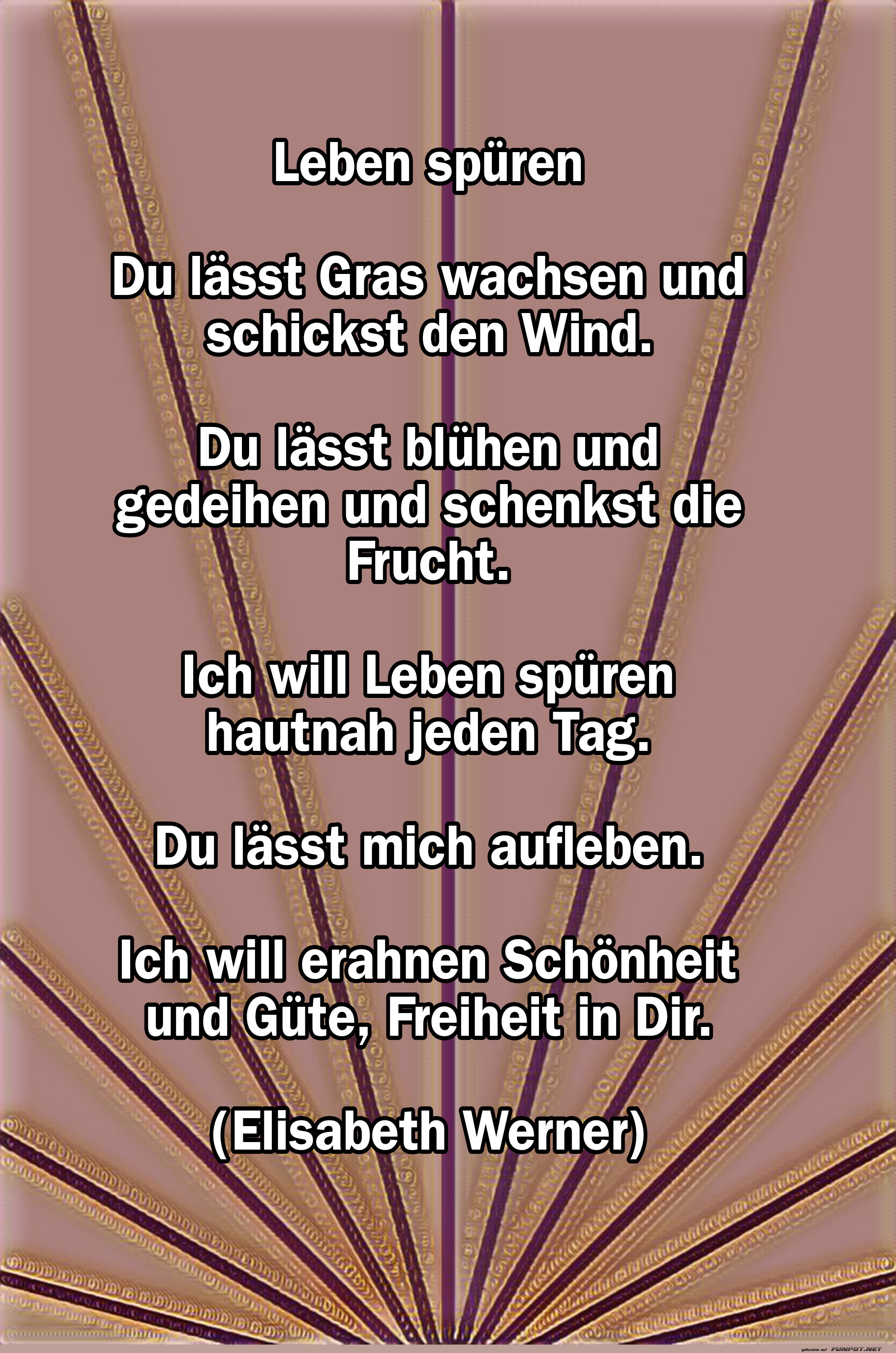 leben spren