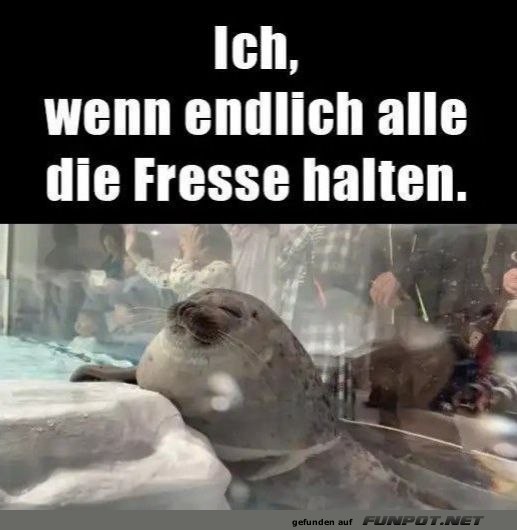 Ruhe bitte! Ich bin im Chill-Modus. Ruhe bitte! Ich bin im Chill-Modus.
