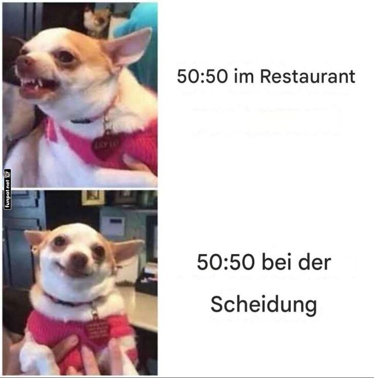 Wenn 50:50 teilen zweimal anders aussieht Wenn 50:50 teilen zweimal anders aussieht