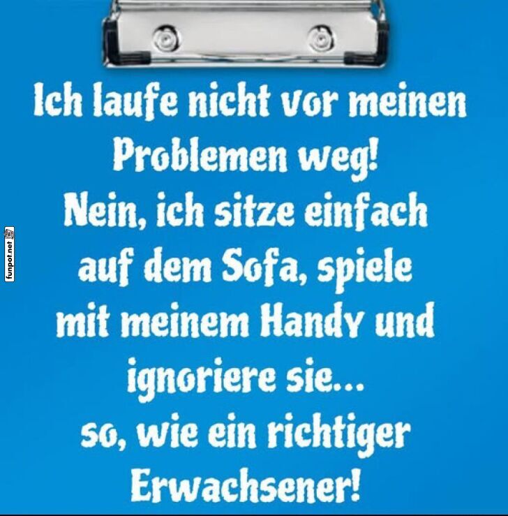 Der ultimative Erwachsenenratgeber