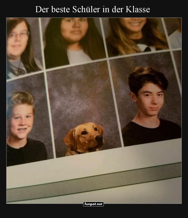 Wenn Bello das Klassenfoto crasht Wenn Bello das Klassenfoto crasht