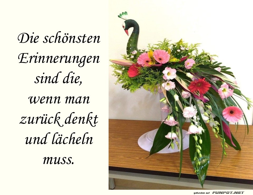 Die schnsten Erinnerungen