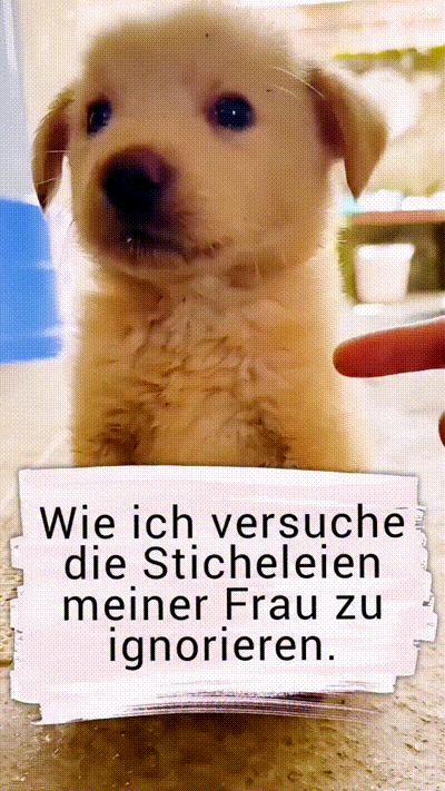 Sticheleien ignorieren Sticheleien ignorieren