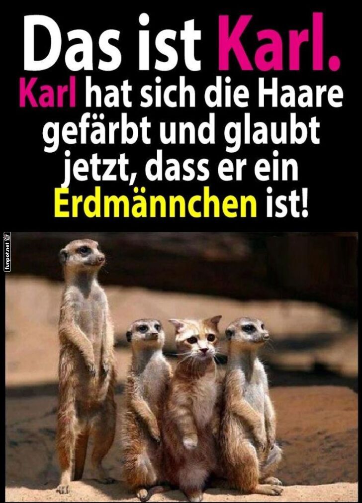 Karl mit neuer Frisur: Tarnung perfekt?