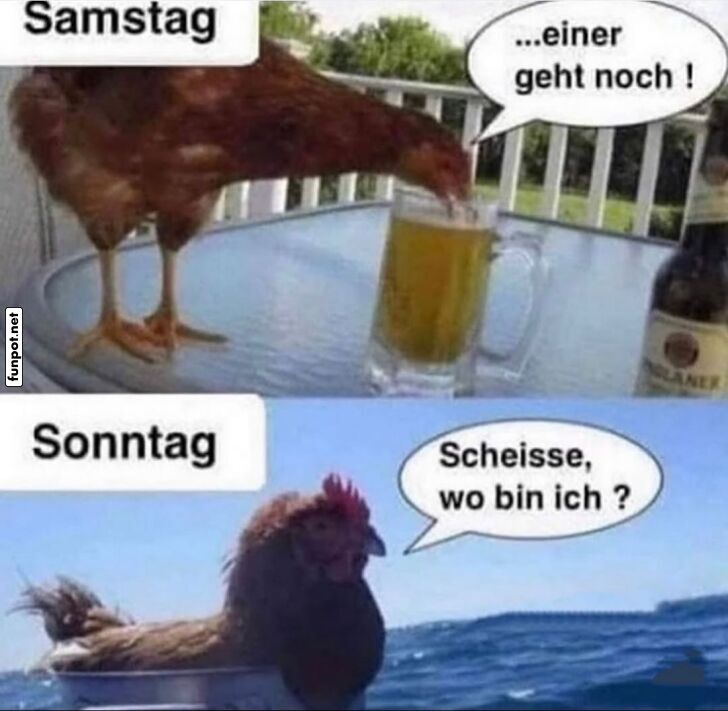 Wenn Hühner den Kater haben Wenn Hühner den Kater haben