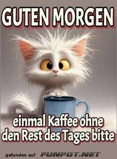 Kaffeekatastrophe am Morgen Kaffeekatastrophe am Morgen