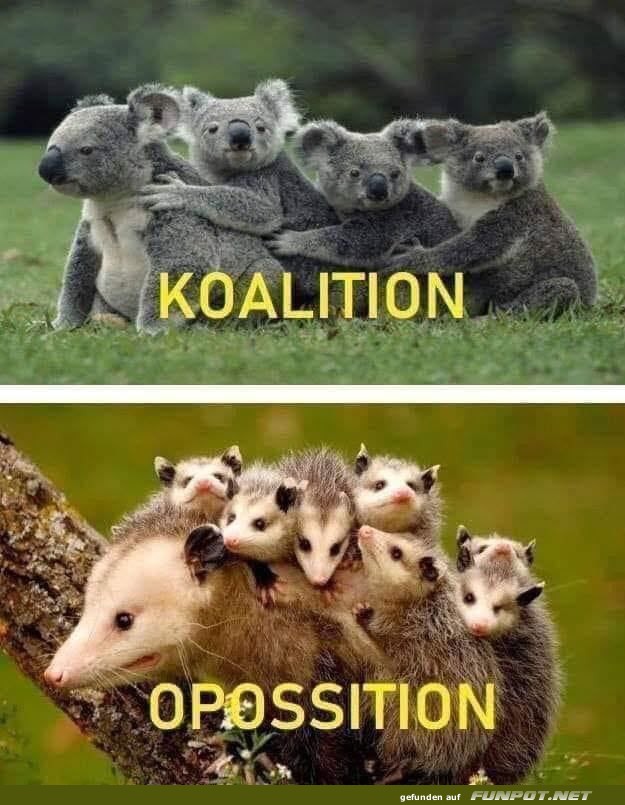 Wenn Politik tierisch wird Wenn Politik tierisch wird