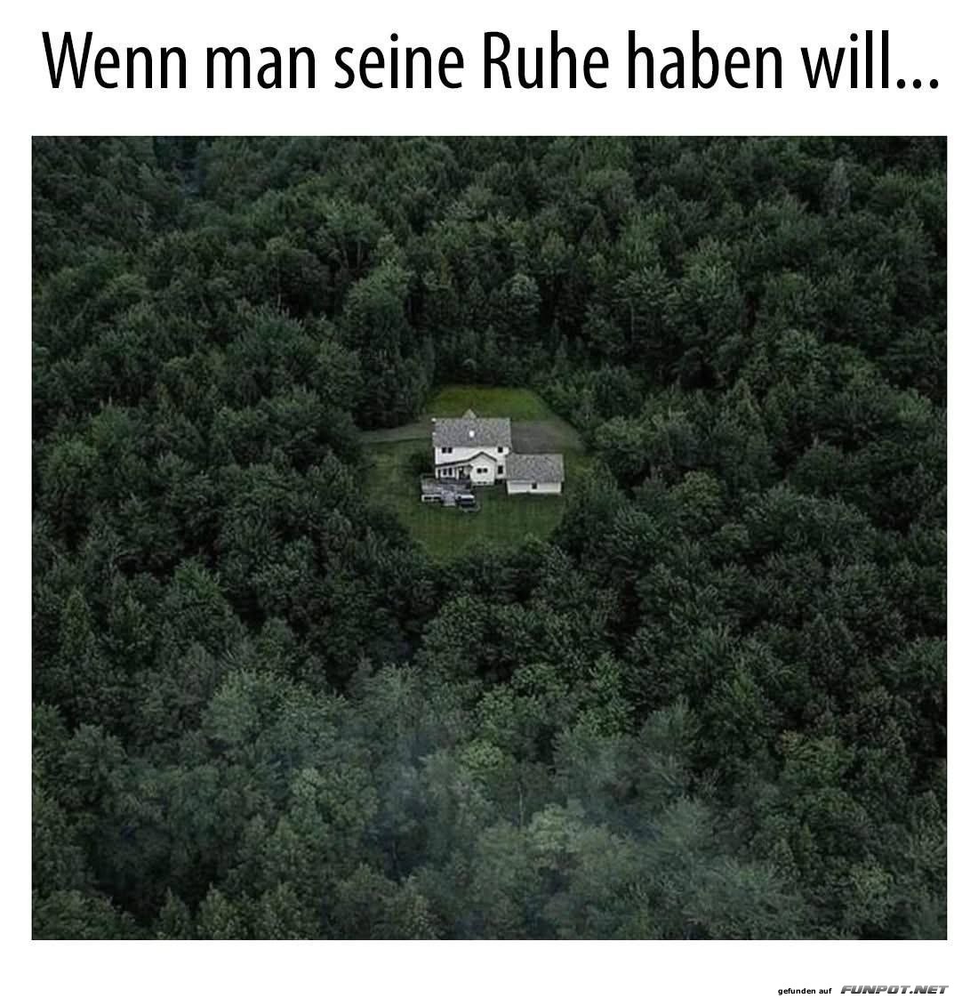 Haus im Wald: Einfach mal abschalten! Haus im Wald: Einfach mal abschalten!