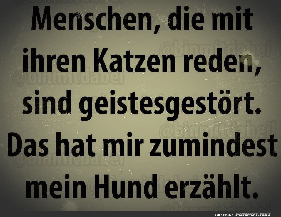 Hundelogik: Katzenflüsterer im Visier! Hundelogik: Katzenflüsterer im Visier!