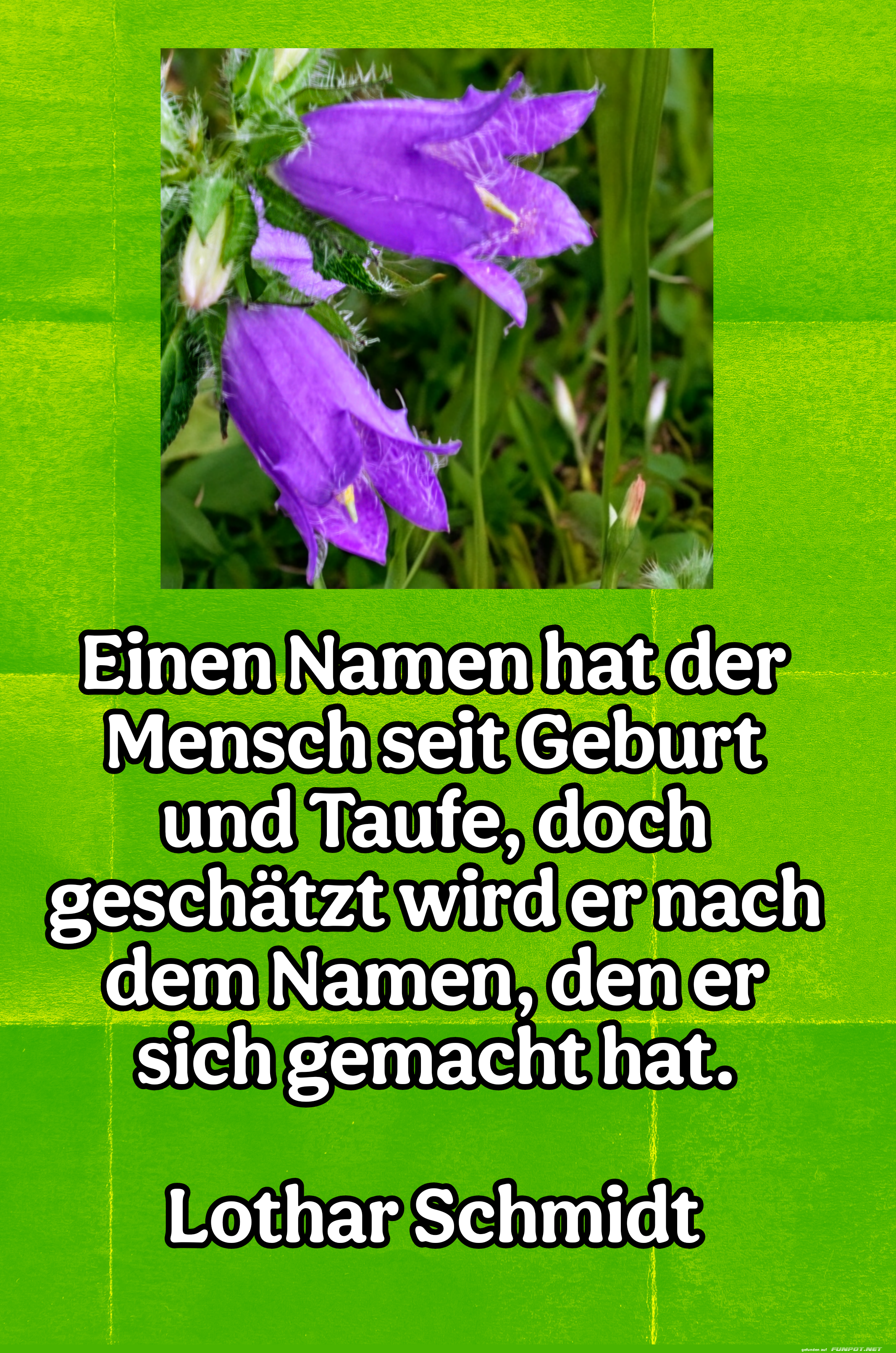 einen namen hat der mensch einen namen hat der mensch