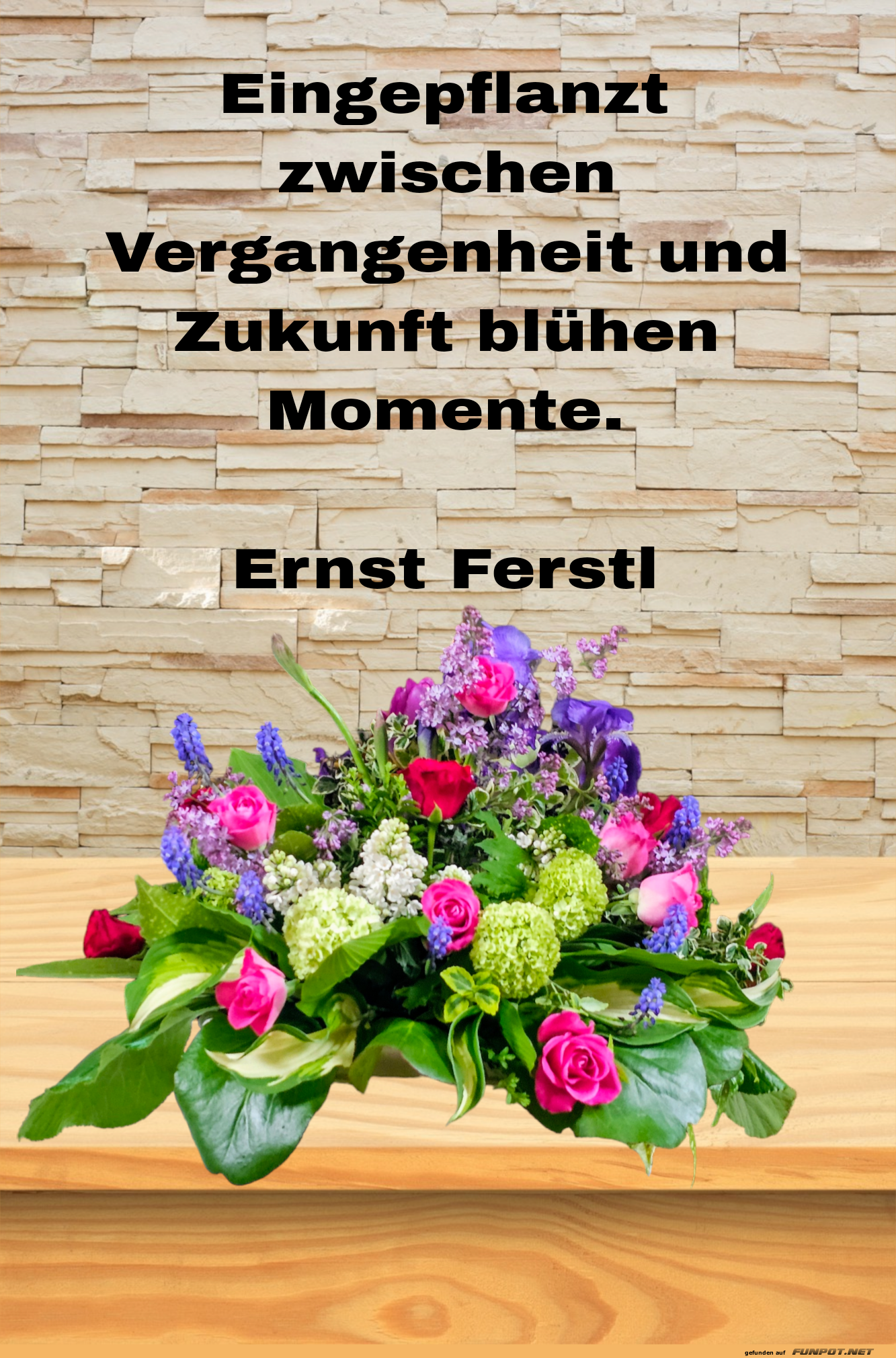 eingepflanzt zwischen vergangenheit
