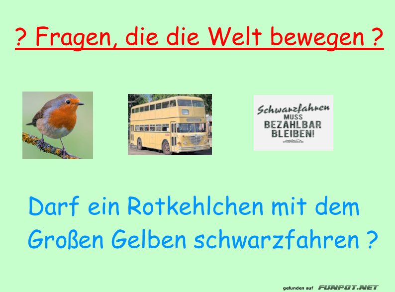 Vogel auf großer Fahrt ohne Ticket? Vogel auf großer Fahrt ohne Ticket?