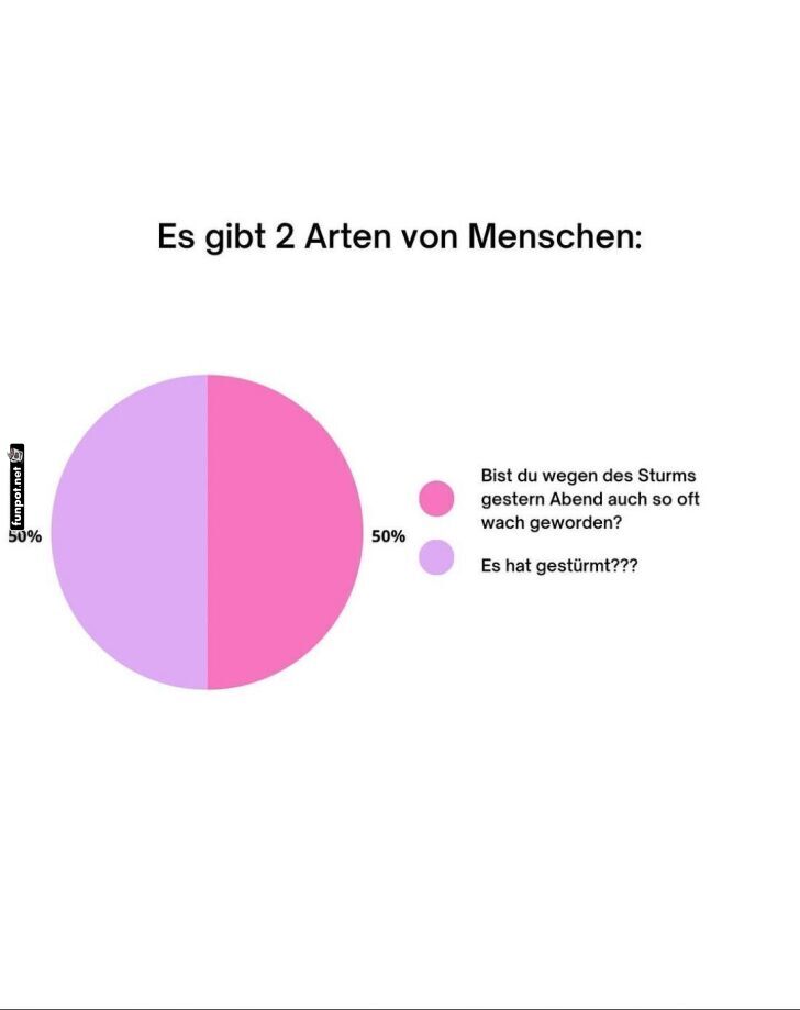 Die zwei Arten von Nachtschwärmern Die zwei Arten von Nachtschwärmern