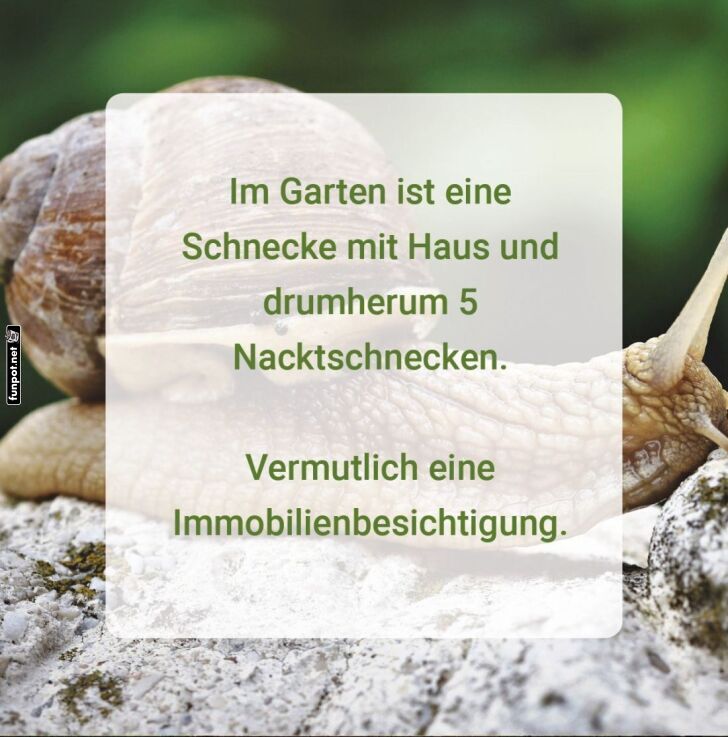 Schnecken-Hausbesichtigung Deluxe Schnecken-Hausbesichtigung Deluxe