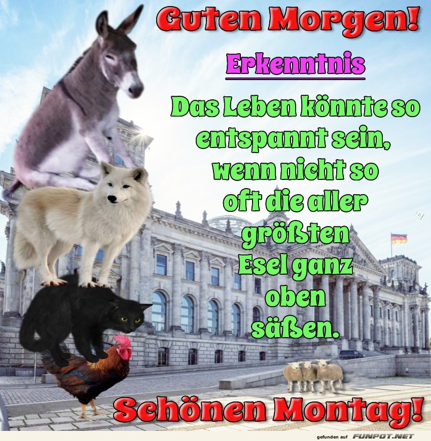 Turmbau zu Tierhausen: Ein Montag-Memo! Turmbau zu Tierhausen: Ein Montag-Memo!