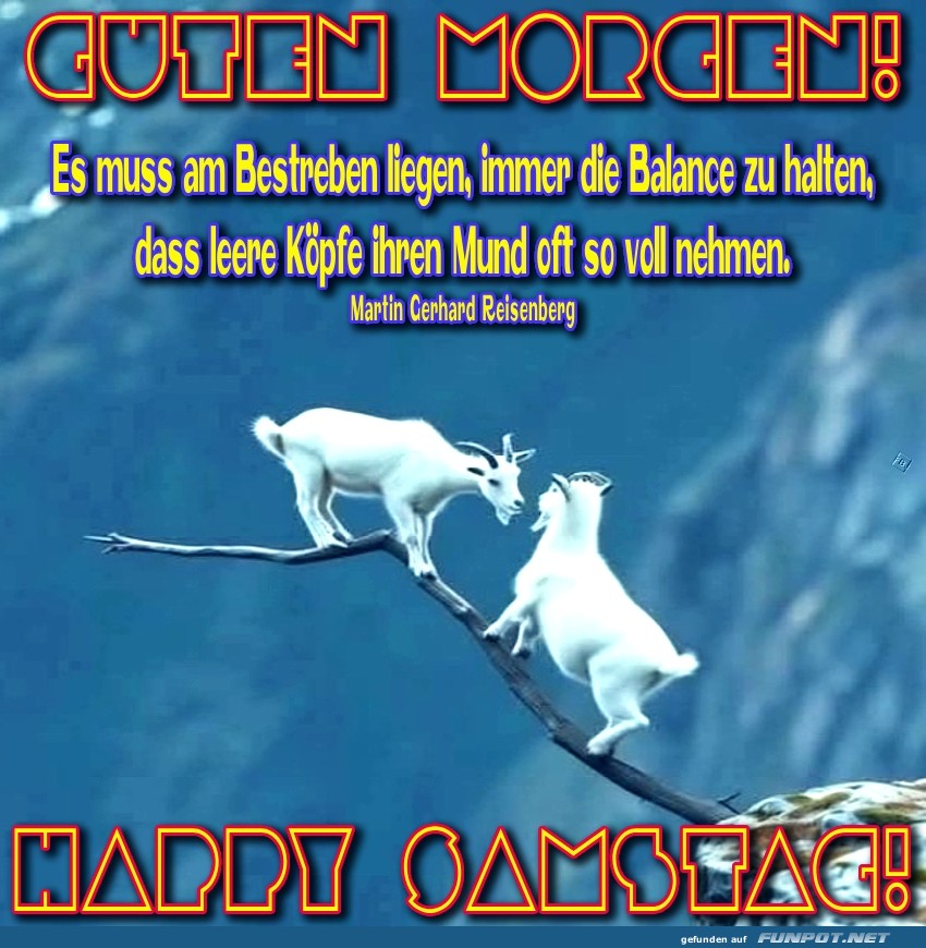 Zwei Ziegen auf dünnem Ast: Balanceakt der Woche! Zwei Ziegen auf dünnem Ast: Balanceakt der Woche!