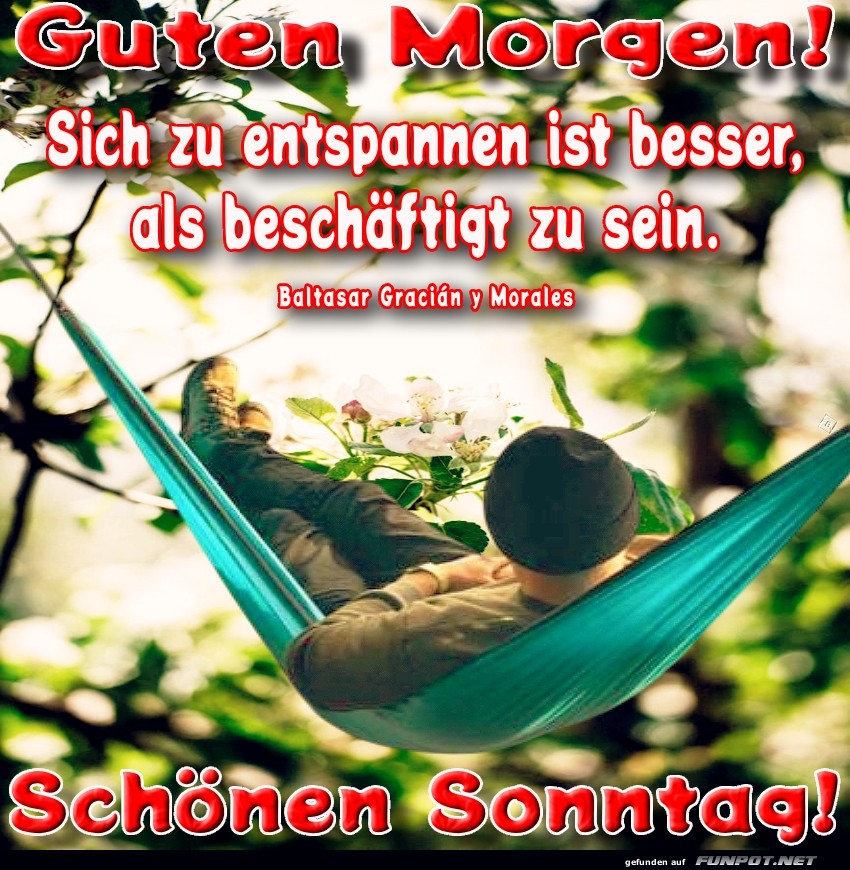 Hängemattenheld: Sonntag im Chill-Modus Hängemattenheld: Sonntag im Chill-Modus