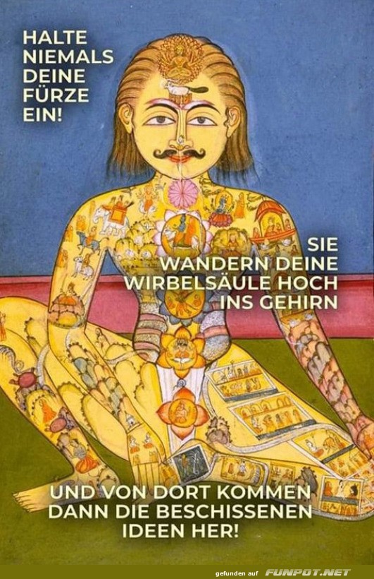 Belehrung aus der Yogaklasse Belehrung aus der Yogaklasse