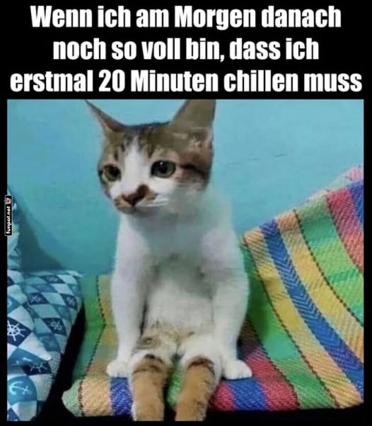 Morgenroutine: Chillen vor dem Abenteuer Morgenroutine: Chillen vor dem Abenteuer