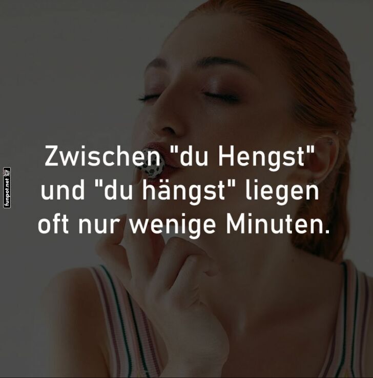 Vom Hengst zum Hängst - Entspannung pur! Vom Hengst zum Hängst - Entspannung pur!