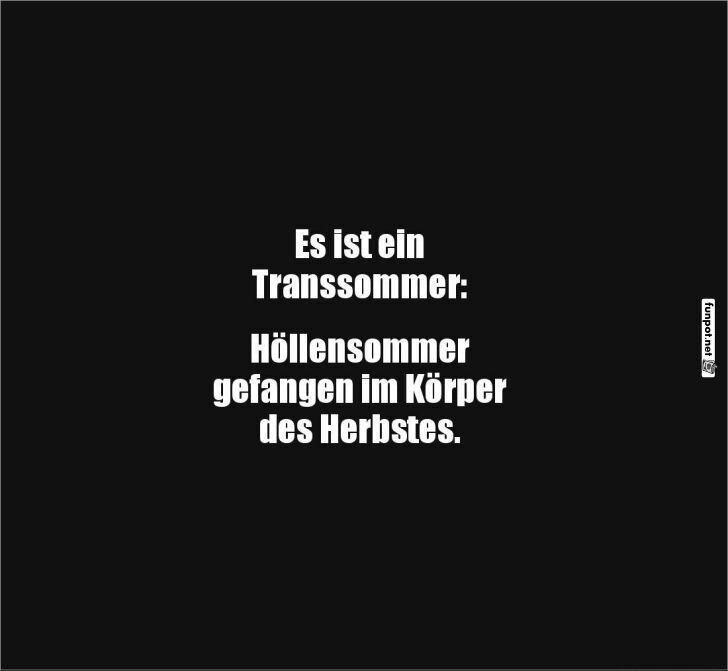 Transsommer-Chaos: Herbst im Sommerwahn Transsommer-Chaos: Herbst im Sommerwahn